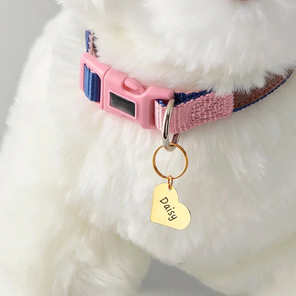 Personalized%20Dogs%20ID%20Tags,Pet%20Collar%20Coin%20Charm/