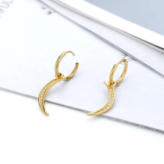 Zircon Pendant Hoop Earrings/