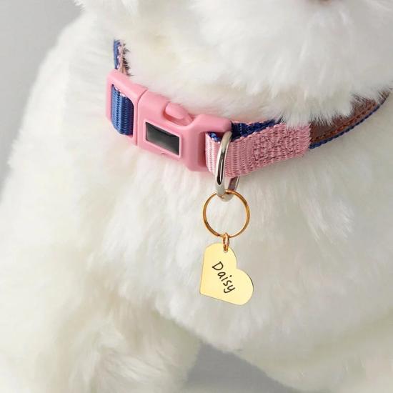 Personalized Dogs ID Tags,Pet Collar Coin Charm